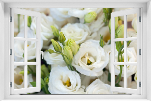 Fototapeta Naklejka Na Ścianę Okno 3D - White beautiful Eustoma flowers , Lisianthus, tulip gentian, eustomas. Full frame background.