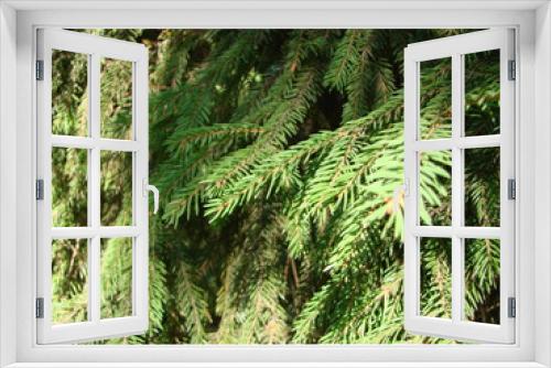 Fototapeta Naklejka Na Ścianę Okno 3D - Natural old Christmas tree wood texture pattern or Christmas tree background for design with copy space for text or image. Close-up Christmas tree vintage. Macro.