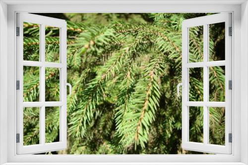 Fototapeta Naklejka Na Ścianę Okno 3D - Natural old Christmas tree wood texture pattern or Christmas tree background for design with copy space for text or image. Close-up Christmas tree vintage. Macro.