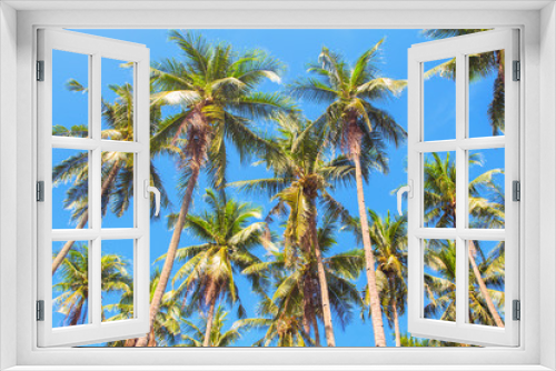 Fototapeta Naklejka Na Ścianę Okno 3D - Tall palm tree forest on blue sky background. Coco palm photo.