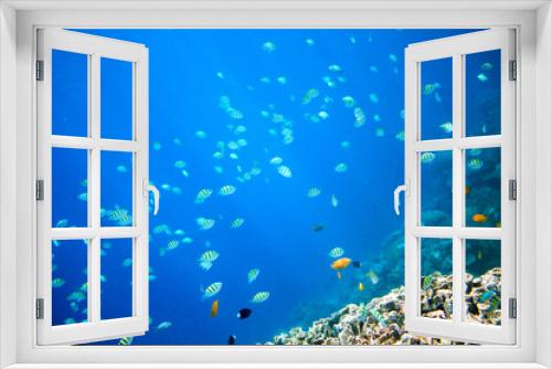 Fototapeta Naklejka Na Ścianę Okno 3D - Coral reef and blue abyss with tropical fish. Undersea landscape.