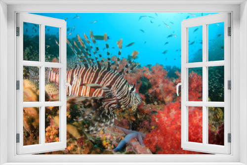 Fototapeta Naklejka Na Ścianę Okno 3D - Underwater coral reef and fish
