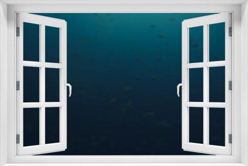 Fototapeta Naklejka Na Ścianę Okno 3D - Underwater 