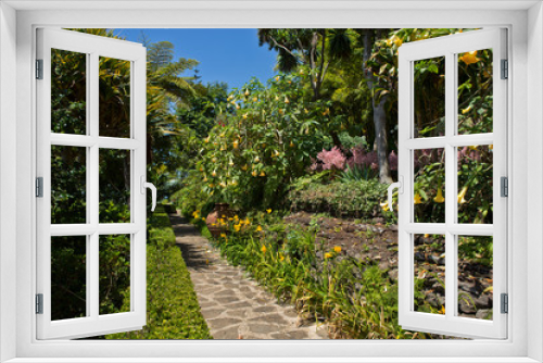 Fototapeta Naklejka Na Ścianę Okno 3D - Romatischer tropischer Garten - romantic tropical garden - Gartenpfad - path through garden