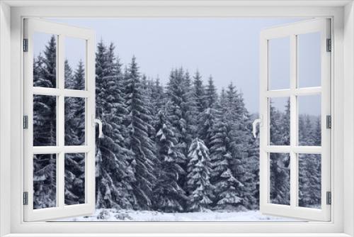 Fototapeta Naklejka Na Ścianę Okno 3D - Trees covered with hoarfrost and snow in winter mountains - Christmas snowy backgroundic holiday background