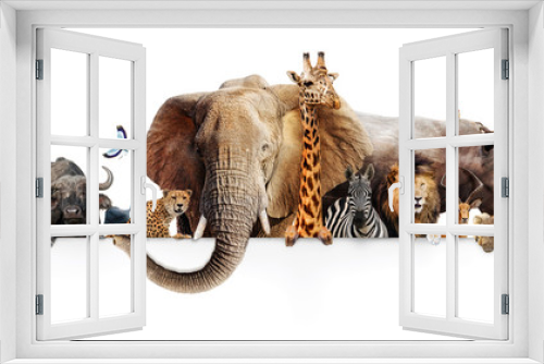 Fototapeta Naklejka Na Ścianę Okno 3D - Safari Animals Hanging Over White Banner