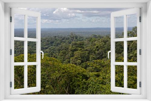 Fototapeta Naklejka Na Ścianę Okno 3D - La forêt amazonienne à perte de vue, des hauteurs da la montagne Bellevue dans le bourg de Cacao en Guyane française