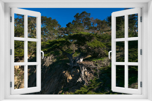 Fototapeta Naklejka Na Ścianę Okno 3D - Point Lobos State Natural Reserve, Big Sur, Carmel Highlands, Monterey County, California, USA