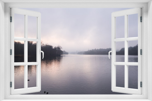 Fototapeta Naklejka Na Ścianę Okno 3D - Monochromatic Lake on Misty Morning with Distant Swans in Flight