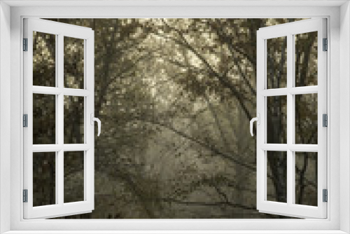 Fototapeta Naklejka Na Ścianę Okno 3D - Morning Mist 