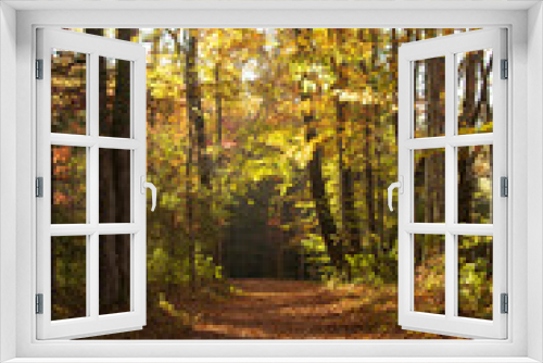 Fototapeta Naklejka Na Ścianę Okno 3D - Autumn nature
