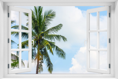 Fototapeta Naklejka Na Ścianę Okno 3D - tropical view landscape with palm tree againtst blue sky.