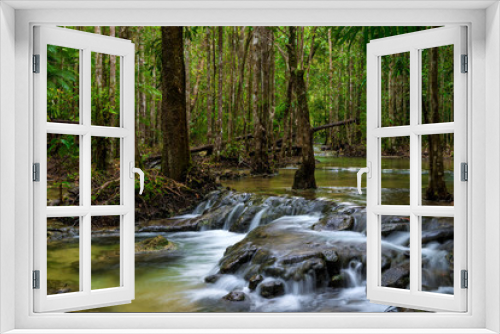 Fototapeta Naklejka Na Ścianę Okno 3D - dense Thai jungle with the current river - a beautiful landscape