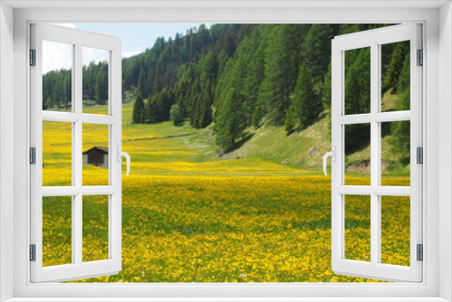 Fototapeta Naklejka Na Ścianę Okno 3D - Alpi
