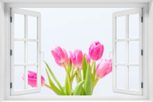 Fototapeta Naklejka Na Ścianę Okno 3D - pink tulip flower on wood background