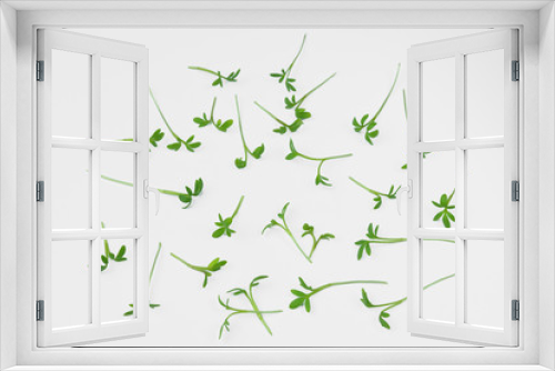 Fototapeta Naklejka Na Ścianę Okno 3D - rzeżucha