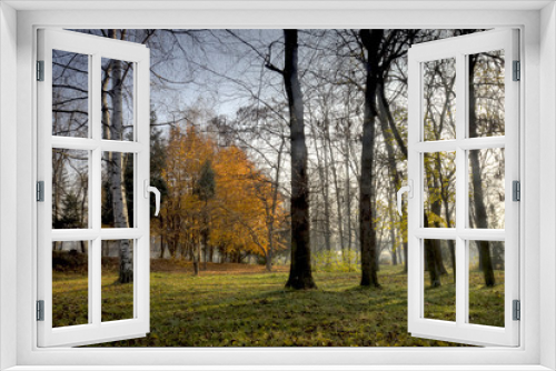Fototapeta Naklejka Na Ścianę Okno 3D - Autumn scene