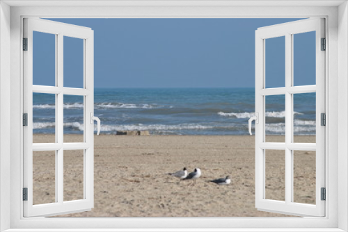 Fototapeta Naklejka Na Ścianę Okno 3D - 3 Seagulls