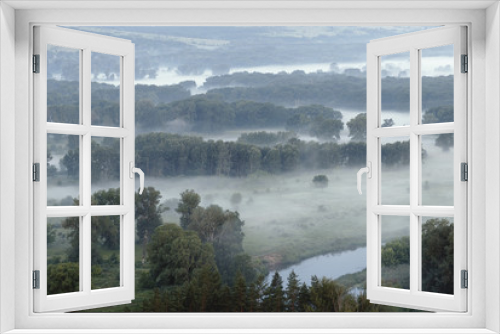 Fototapeta Naklejka Na Ścianę Okno 3D - Forest in fog near by river  bank