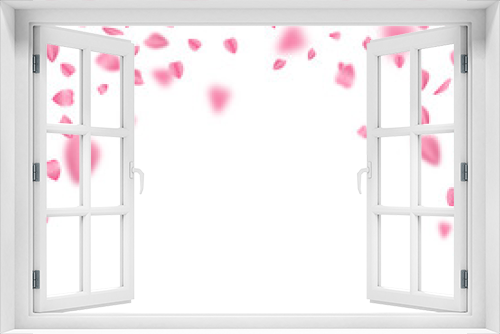 Falling sakura leaves on white background, vector design