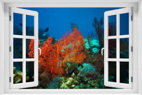 Fototapeta Naklejka Na Ścianę Okno 3D - Coral garden