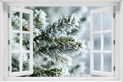 Fototapeta Naklejka Na Ścianę Okno 3D - Tannenzweig im Winter