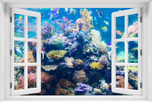 Fototapeta Naklejka Na Ścianę Okno 3D - coral in deep blue sea