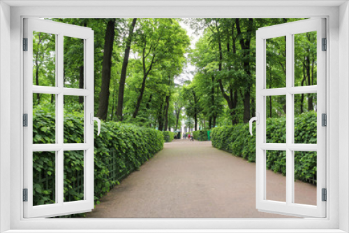 Fototapeta Naklejka Na Ścianę Okno 3D - Green garden alley.