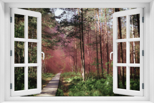 Fototapeta Naklejka Na Ścianę Okno 3D - Pink Forrest
