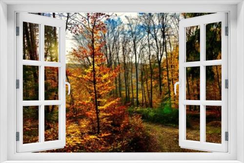 Fototapeta Naklejka Na Ścianę Okno 3D - Herbstfarben im Wald