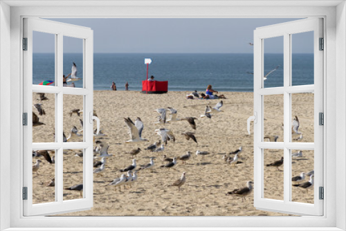Fototapeta Naklejka Na Ścianę Okno 3D - Flock of seagulls.