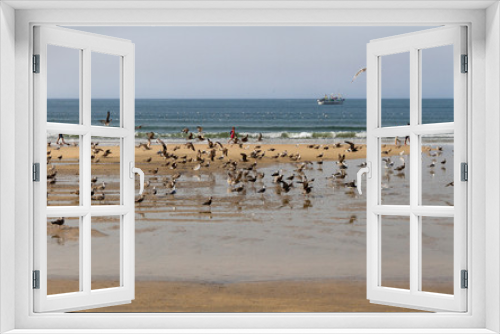 Fototapeta Naklejka Na Ścianę Okno 3D - Flock of seagulls.
