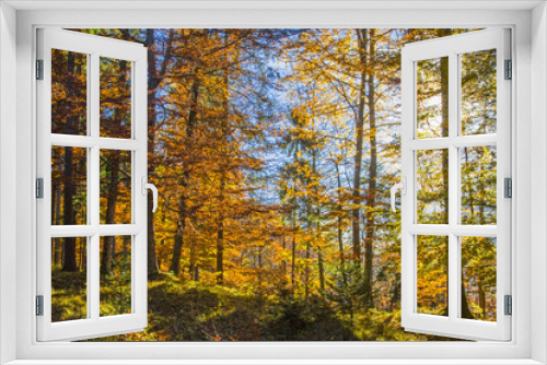 Fototapeta Naklejka Na Ścianę Okno 3D - Spaziergang im Herbst