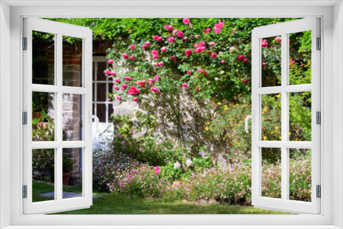 Fototapeta Naklejka Na Ścianę Okno 3D - Petits jardin fleuri et rosier sur façade de maison