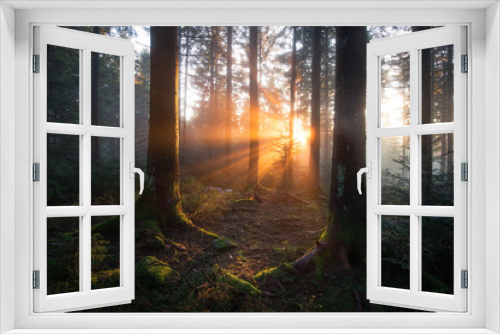 Fototapeta Naklejka Na Ścianę Okno 3D - mystische Lichtstimmung im Schwarzwald