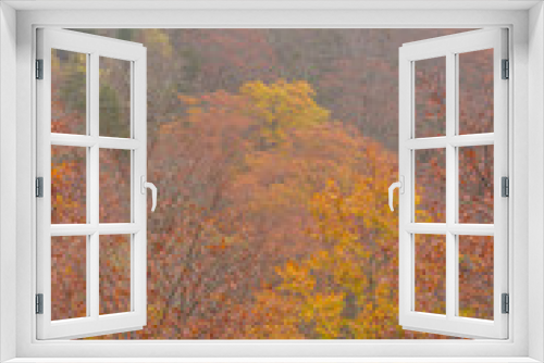Fototapeta Naklejka Na Ścianę Okno 3D - Autumn in Fukushima, Japan