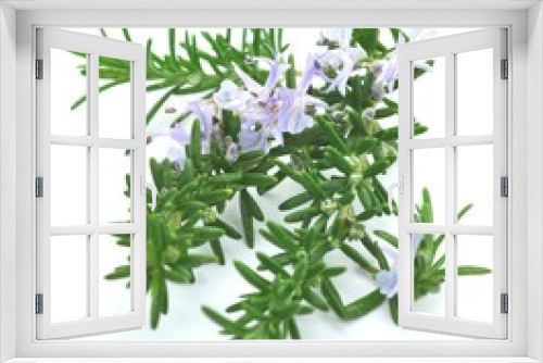 Fototapeta Naklejka Na Ścianę Okno 3D - Rosmarin, Blüten und Knospen