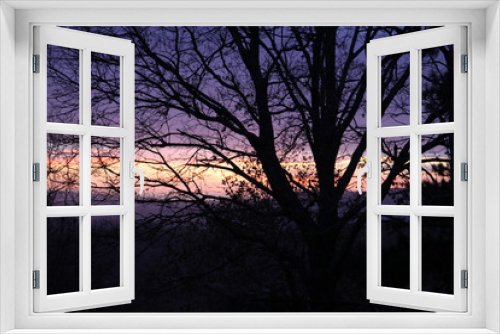 Fototapeta Naklejka Na Ścianę Okno 3D - tramonto con albero