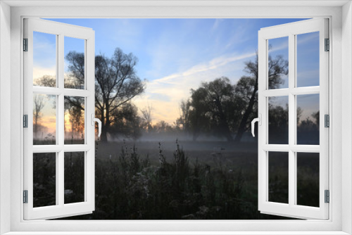 Fototapeta Naklejka Na Ścianę Okno 3D - misty dawn in the grove on the banks of the river