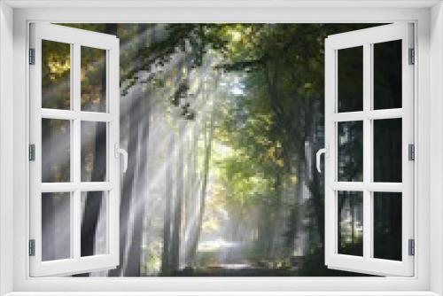 Fototapeta Naklejka Na Ścianę Okno 3D - Sonnenstrahlen