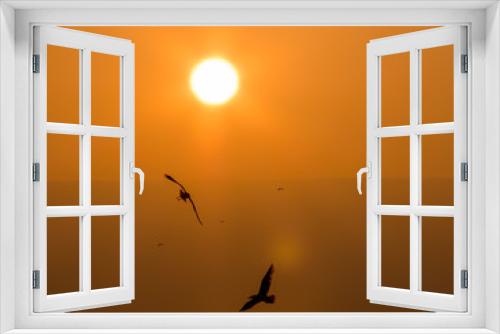 Fototapeta Naklejka Na Ścianę Okno 3D - Birds in flight at Sunset