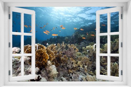 Fototapeta Naklejka Na Ścianę Okno 3D - ocean and fish
