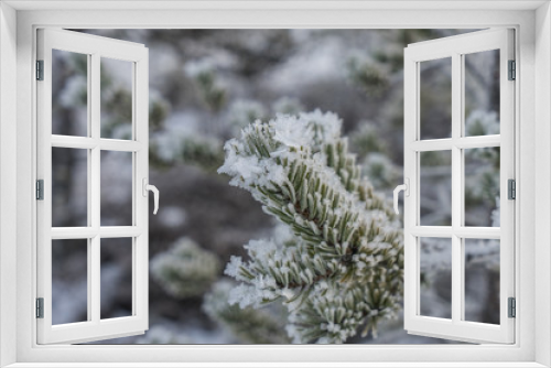 Fototapeta Naklejka Na Ścianę Okno 3D - Beautiful winter forest