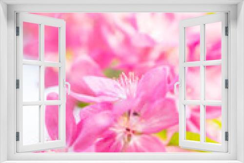 Fototapeta Naklejka Na Ścianę Okno 3D - Spring blossom of beautiful fresh pink cherry flower