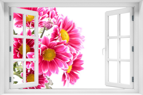Fototapeta Naklejka Na Ścianę Okno 3D - Red Flower over white.