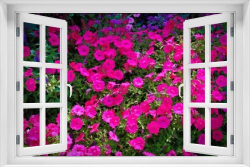 Fototapeta Naklejka Na Ścianę Okno 3D - compo fleur rouge