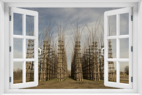 Fototapeta Naklejka Na Ścianę Okno 3D - Catedral Vegetal de Lodi, Lomabardia, Italia