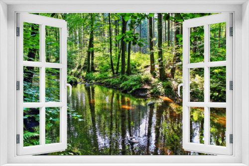Fototapeta Naklejka Na Ścianę Okno 3D - river in the green forest