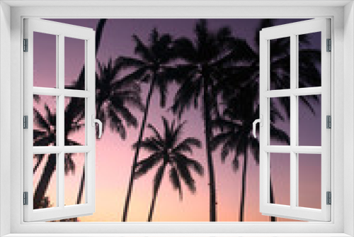 Fototapeta Naklejka Na Ścianę Okno 3D - coconut tree at sunrise