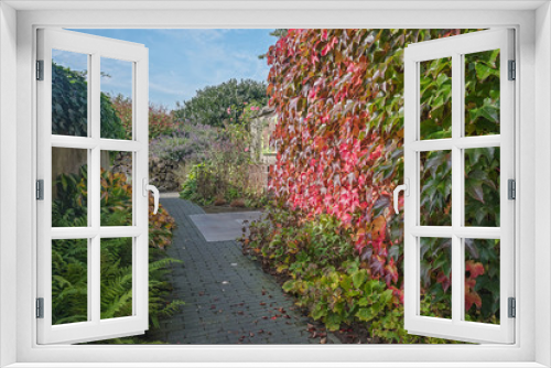 Fototapeta Naklejka Na Ścianę Okno 3D - Footpath through the garden in beautiful autumn colors